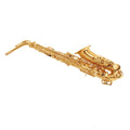 E Flat Alto Saxophone Set A99558
