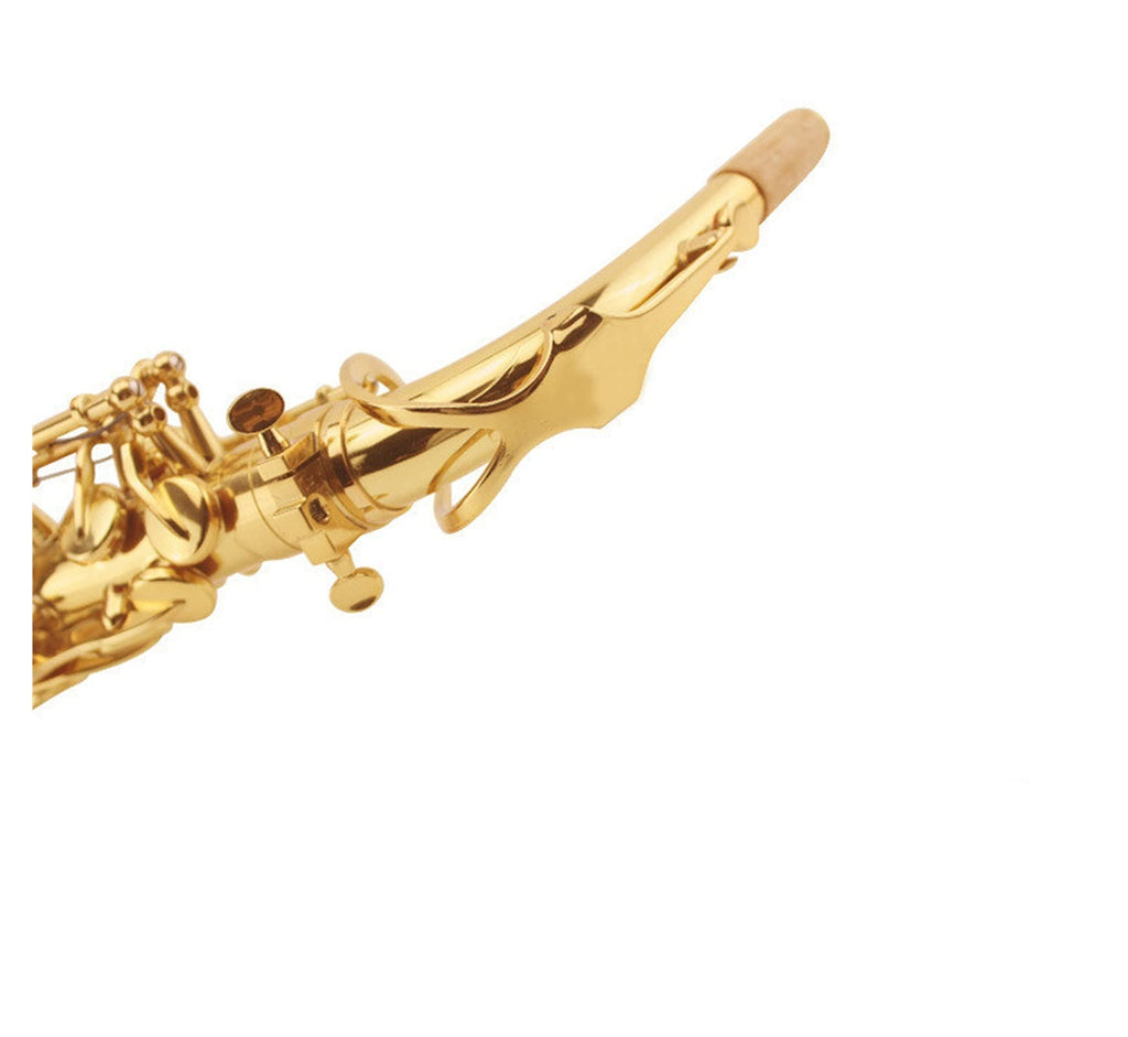 E Flat Alto Saxophone Set A99558