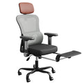 Ergonomic High Back Mesh Office Chair F861407