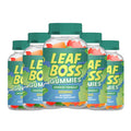 Hemp Gummy 5 Pack 300 Gummies P1168