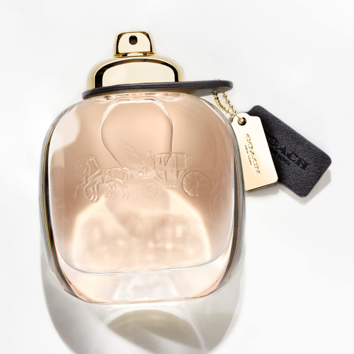 Eau de Parfum Floral Fruity V9789