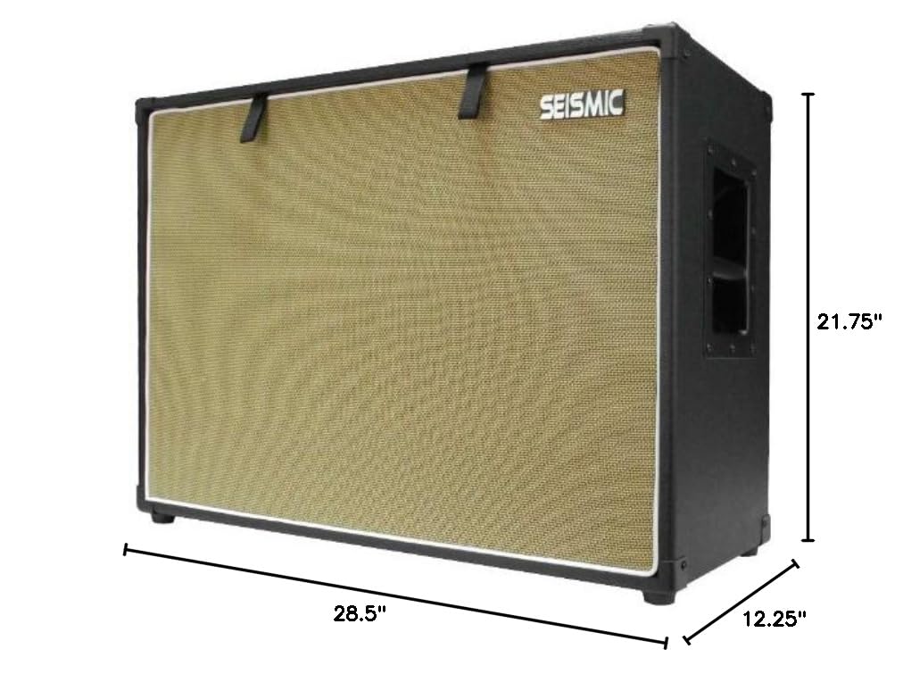 2x12 Birch Guitar Speaker Cabinet Y618148
