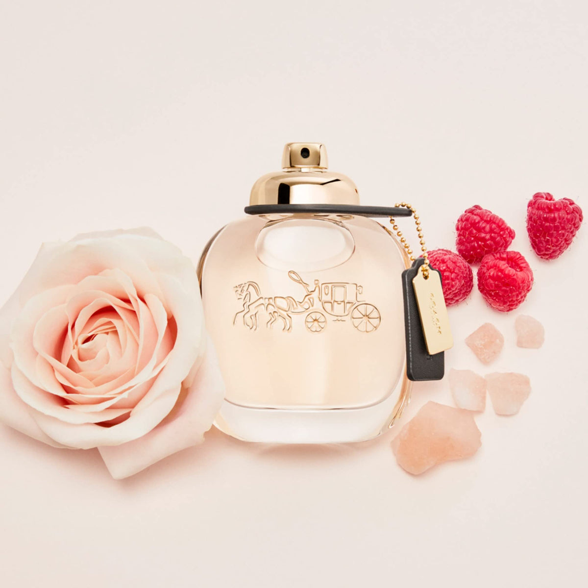 Eau de Parfum Floral Fruity V9789