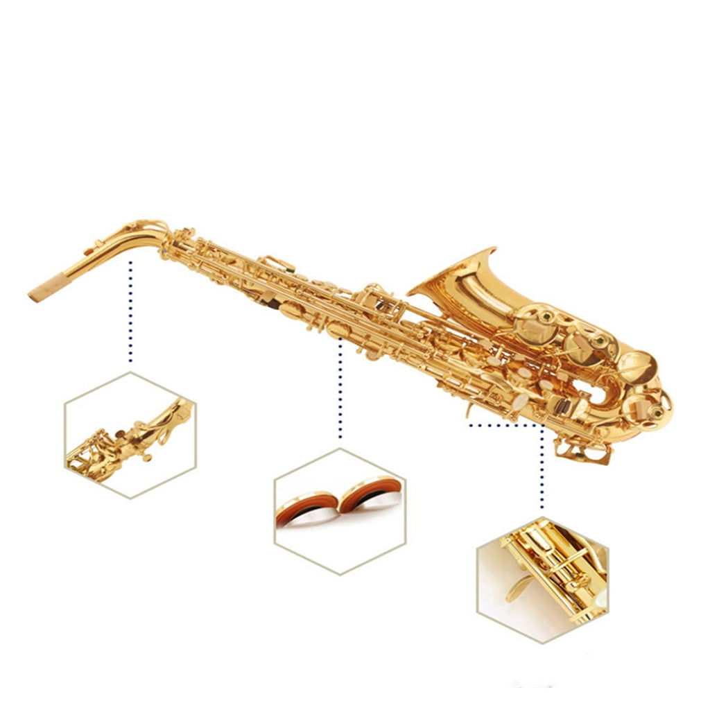 E Flat Alto Saxophone Set A99558