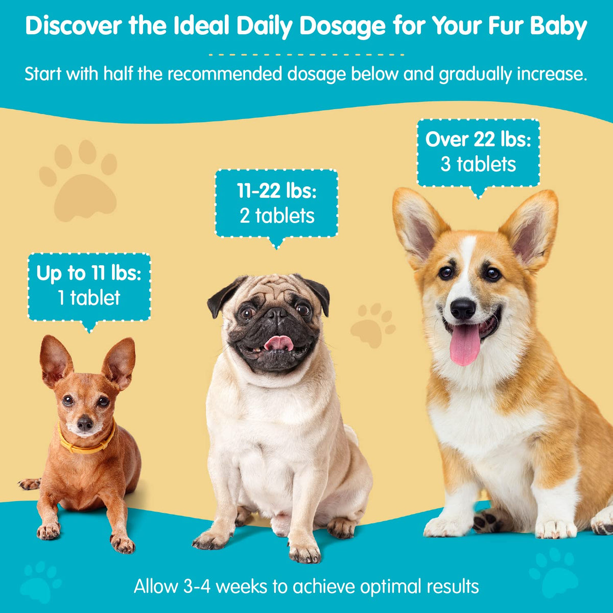 Liver Support for Dogs Chewable Tablets U2486