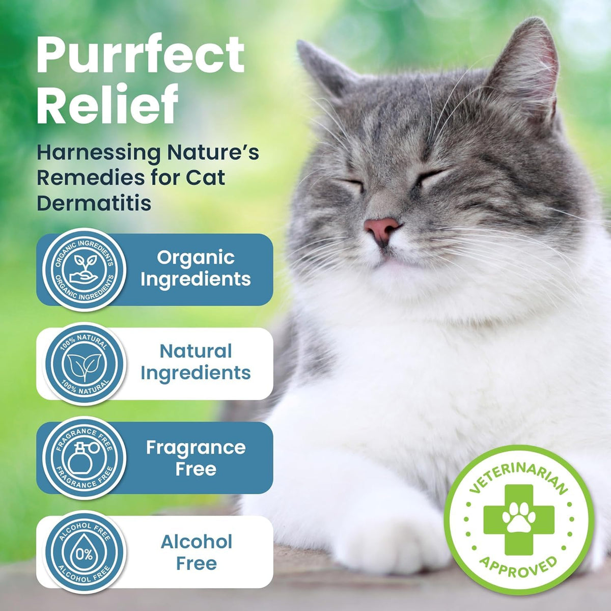 Cat Paw Balm Cat Cream 2 oz P30001