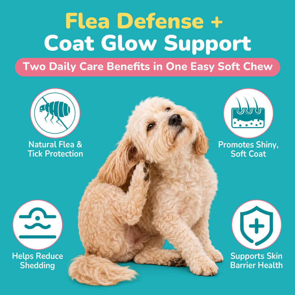 Soft Chews Chicken Flavor Flea and Tick Prevention for Dogs W201457