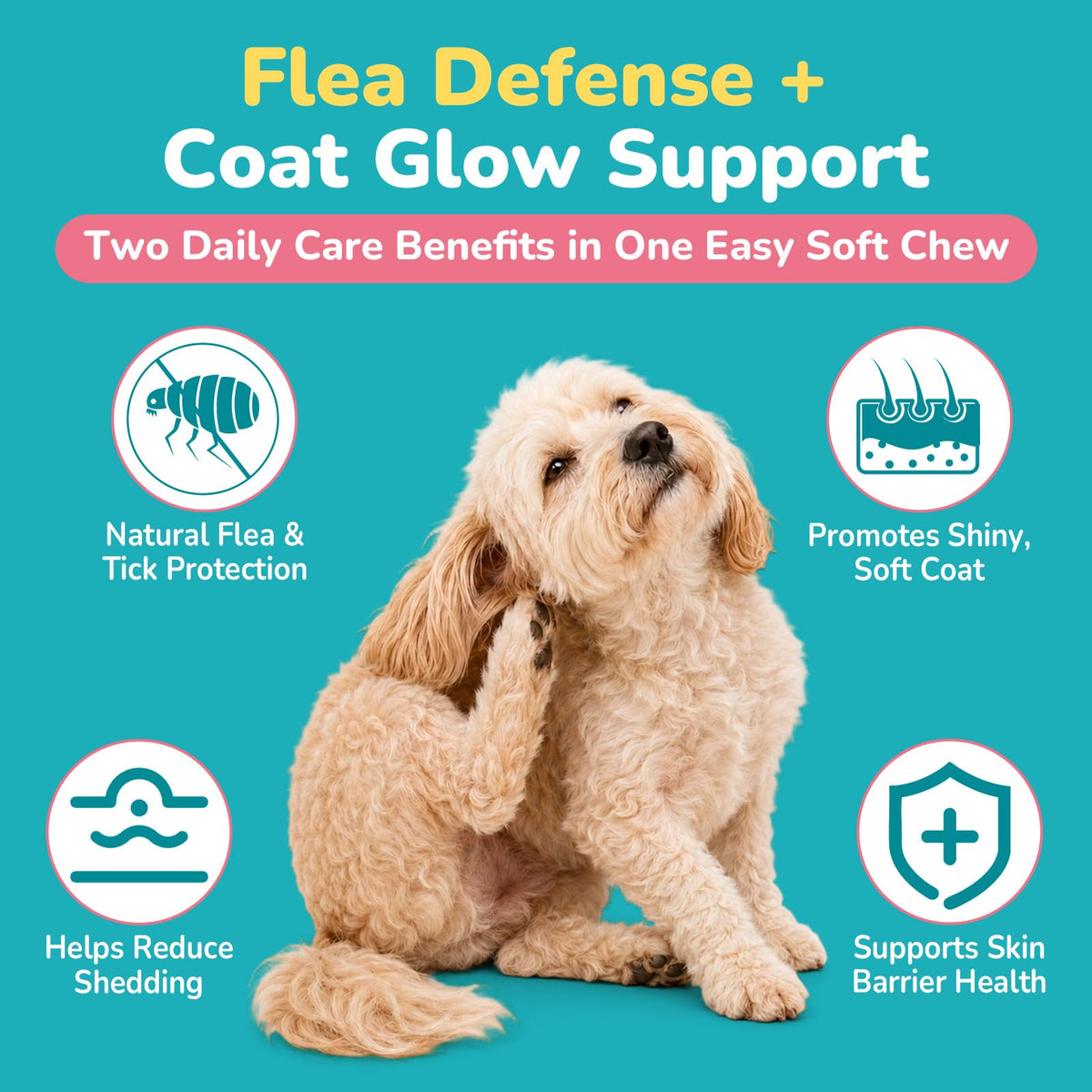 Soft Chews Chicken Flavor Flea and Tick Prevention for Dogs W201457