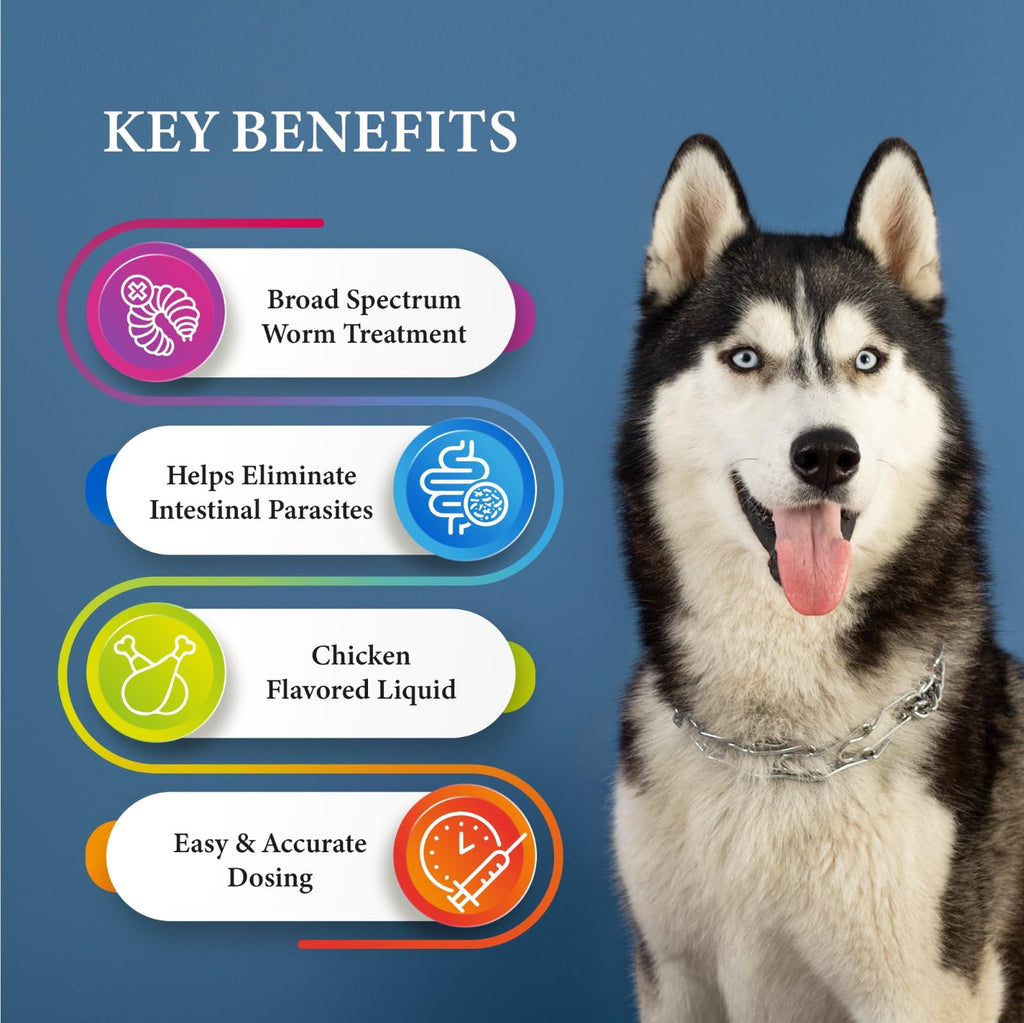 Broad Spectrum Dog Dewormer Treatment 120ml Banana Flavour Q675410