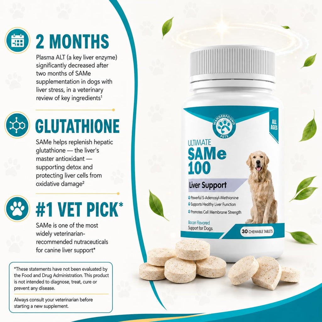 Liver Support for Dogs Chewable Tablets U2486