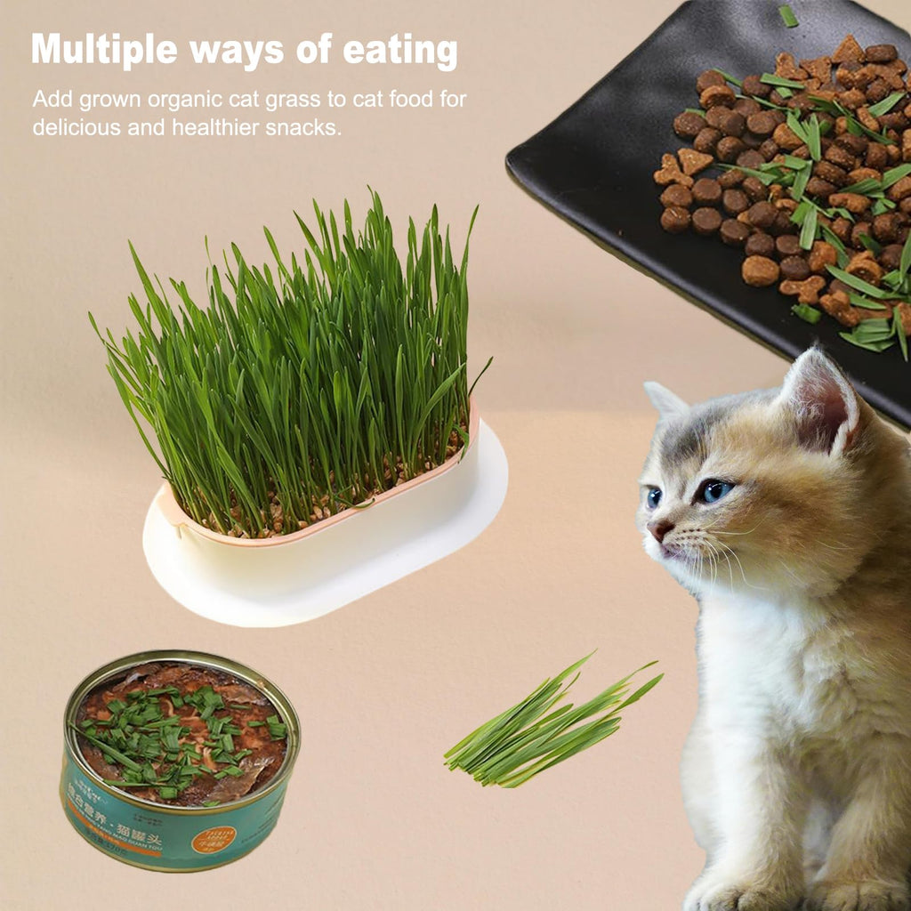 3Pcs Plastic Cat Grass Planter Hydroponic Growing Kit K645