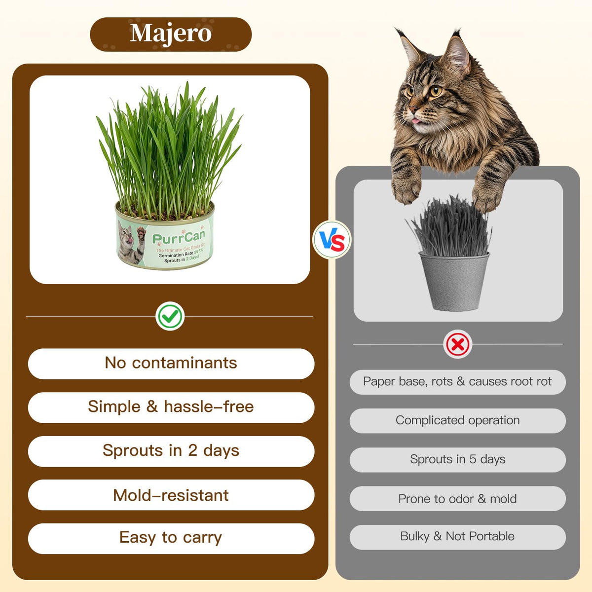 Cat Grass Kit 6 Cans Organic Wheat Seeds X5377