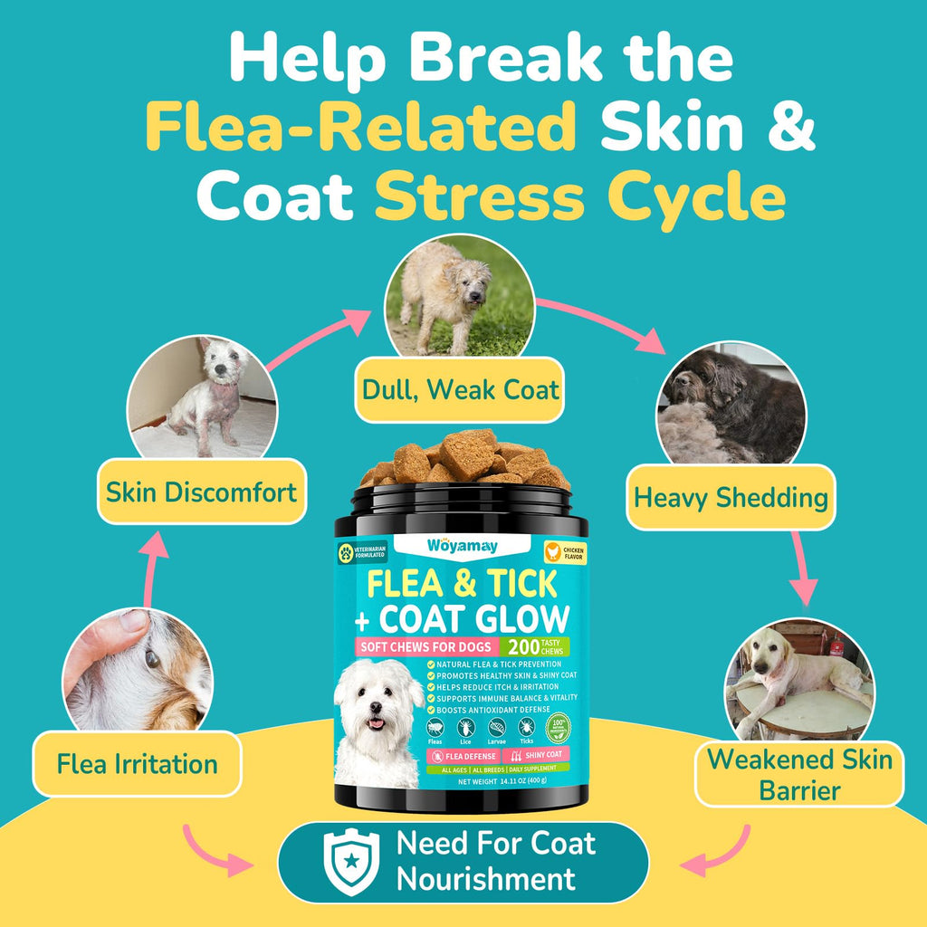 Soft Chews Chicken Flavor Flea and Tick Prevention for Dogs W201457