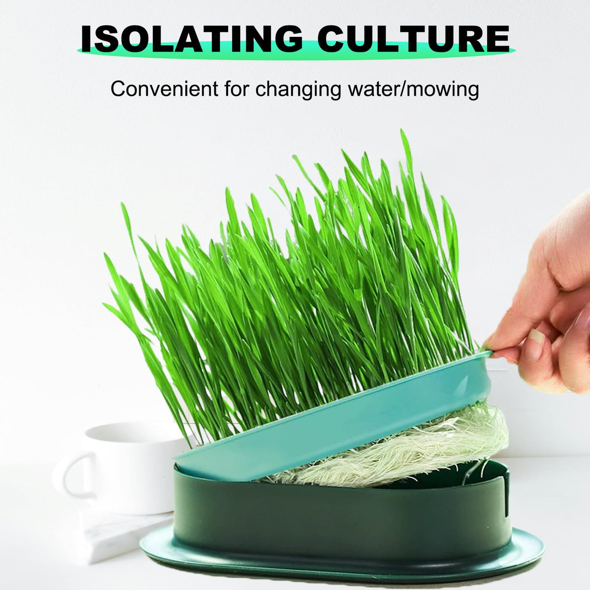 3Pcs Plastic Cat Grass Planter Hydroponic Growing Kit K645