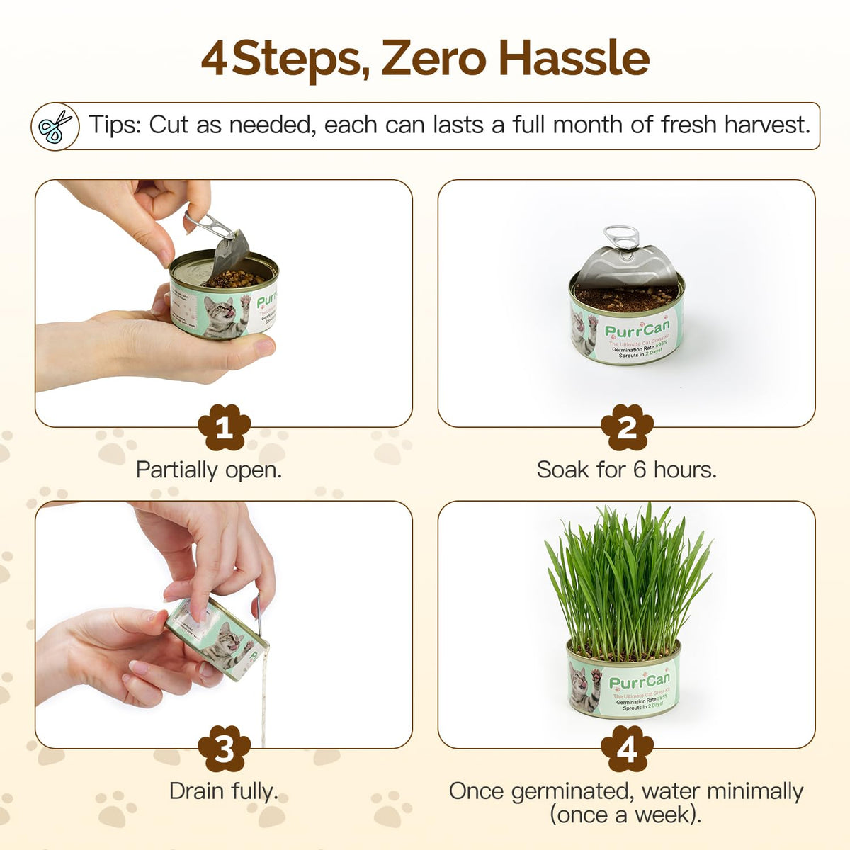 Cat Grass Kit 6 Cans Organic Wheat Seeds X5377