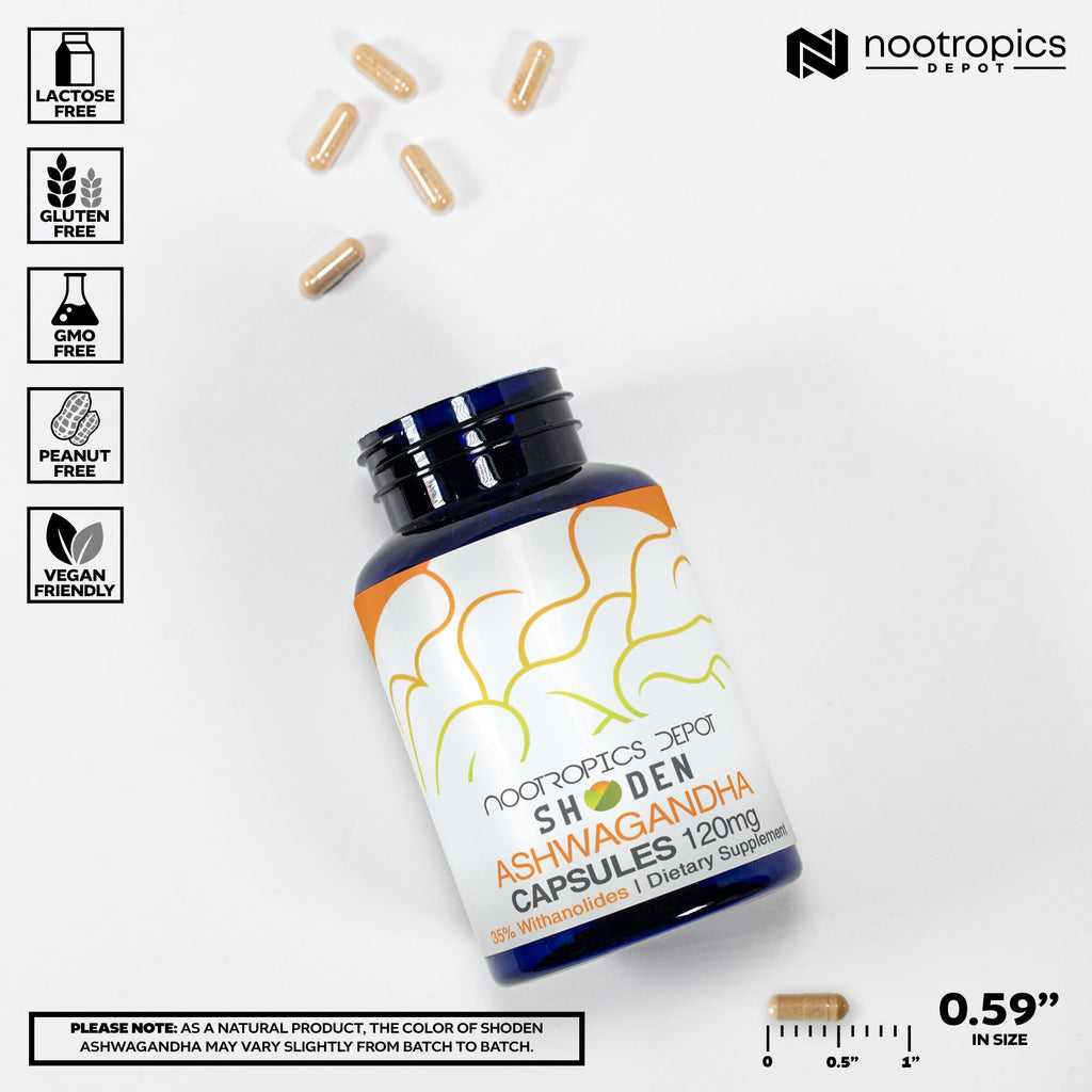 Ashwagandha Extract Capsules 120mg 30 Count Q971