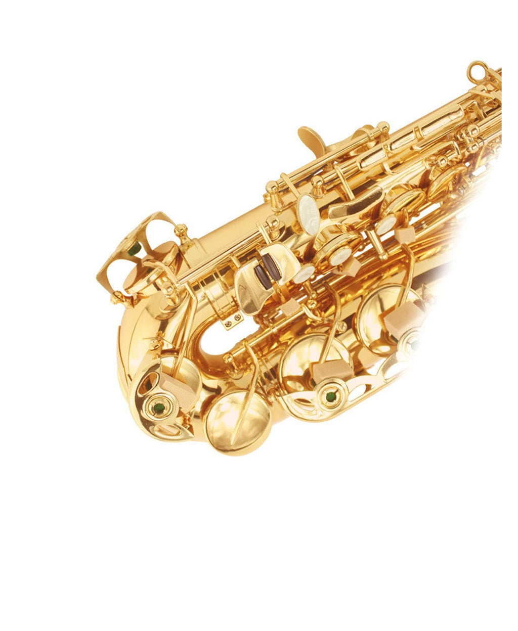 E Flat Alto Saxophone Set A99558