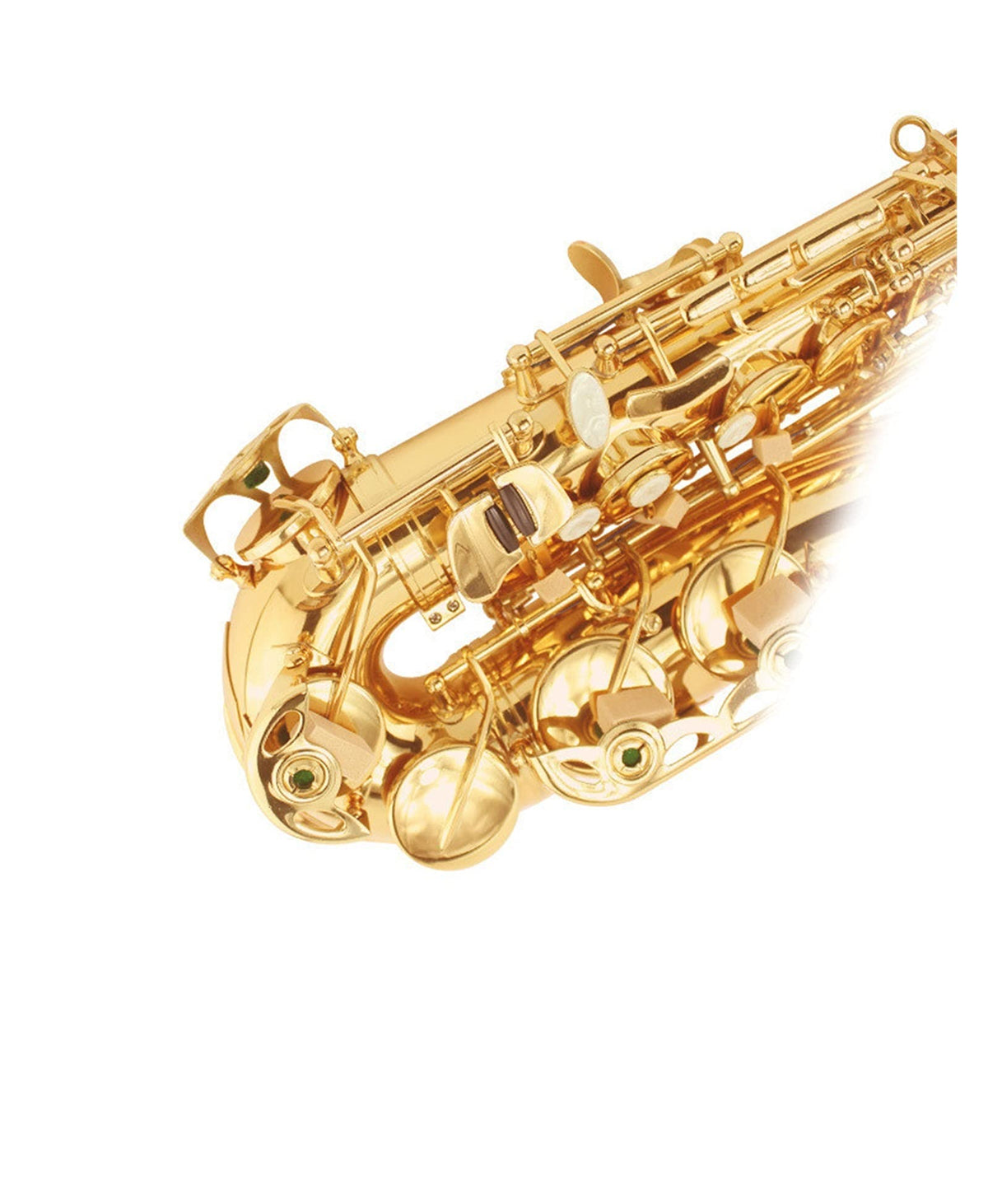E Flat Alto Saxophone Set A99558