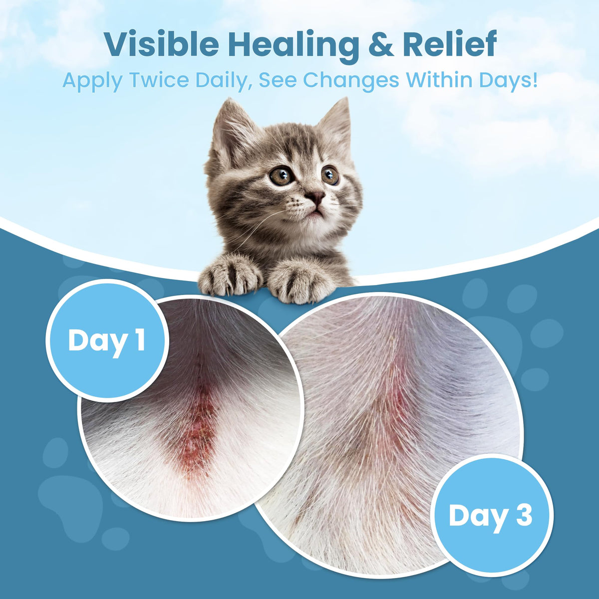 Cat Paw Balm Cat Cream 2 oz P30001