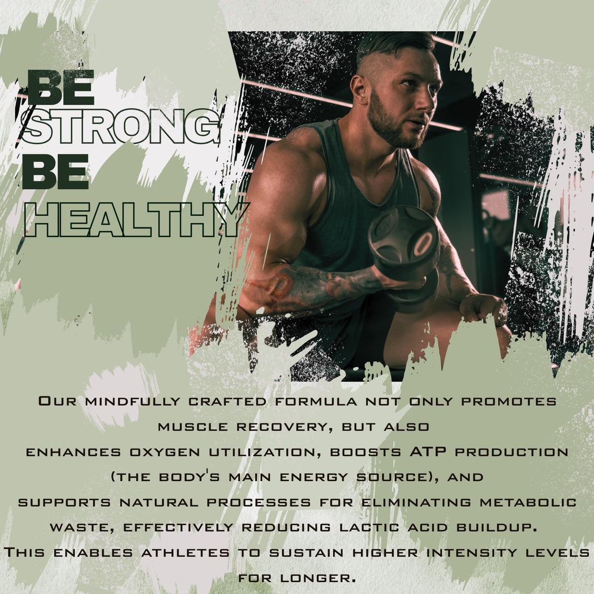 Organic Mushroom Complex Nootropic Y5539